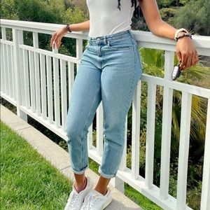 Everlane Curvy Cheeky Jean